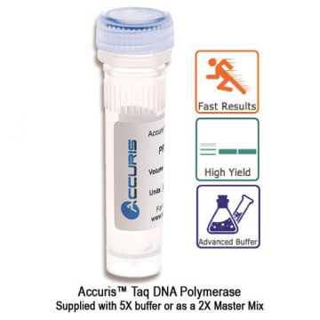 Benchmark Accuris Taq DNA Polymerase